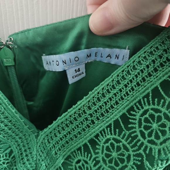 NWOT Antonio Melani Ruth Lace Midi Dress - Picture 5 of 8